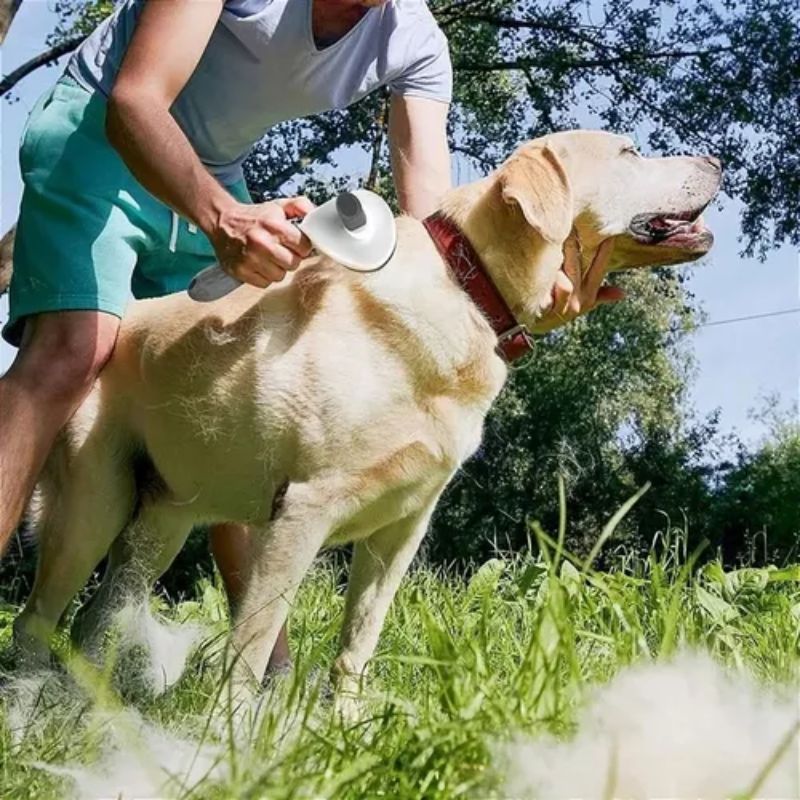 Escova para Pet - Rasqueadeira Removedora de Pelos